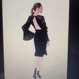 BCBG - Delaney Lace Inset Dress NWT Sz8 Black